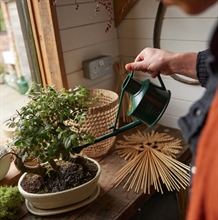 HAWS Vandkande 0,7, mørkegrøn 